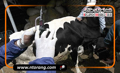 واکسیناسیون بیش از ۵۹ میلیون رأس دام در کشور